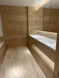 The Colonnade (D10), Condominium #475102171